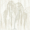 DT5061 - Willow Glow Wallpaper by Candice Olson After Eight