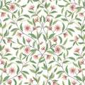 GO8252 - Jasmine Coral Wallpaper- Greenhouse by York
