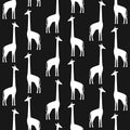 4060-139062 - Vivi Black Giraffe Wallpaper by Chesapeake