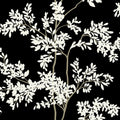 BL1804 - Lunaria Silhouette Wallpaper-Blooms 2 by York