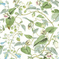 BL1711 - Moon Flower Wallpaper-Blooms 2 by York