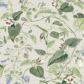 BL1713 - Moon Flower Wallpaper-Blooms 2 by York