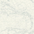 4071-71058 - Charts Aqua Nautical Chart Wallpaper-Blue Heron