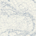 4071-71056 - Charts Navy Nautical Chart Wallpaper-Blue Heron