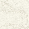 4071-71057 - Charts Taupe Nautical Chart Wallpaper-Blue Heron