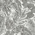 4034-72115 - Brentwood Black Palm Leaves Wallpaper by Scott Living by A Street