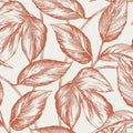 SC20001 - Beckett Sketched Leaves Wallpaper-Seabrook Summer House