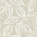 SC20005 - Beckett Sketched Leaves Wallpaper-Seabrook Summer House