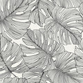 SC20200 - Tarra Monstera Leaf Wallpaper-Seabrook Summer House