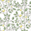 RT7911 - Limoncello Toile Wallpaper-Toiles by York