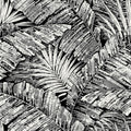 RT7921 - Palm Cove Toile Wallpaper-Toiles by York