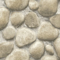 4142-72611 - Root Rock Wallpaper-Chesapeake