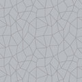 G67699 - Glitter Web Wallpaper-Special FX 2 by Galerie